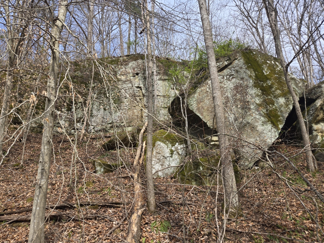 Finding Peace in God’s Creation